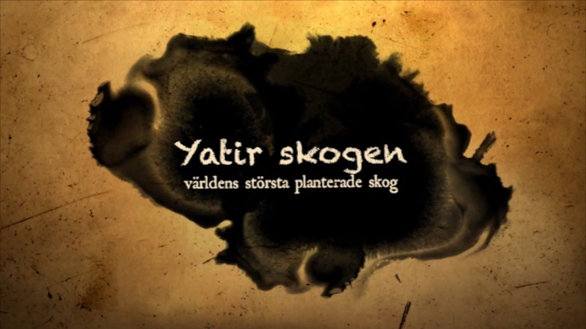 Yatir skogen | Del 5 av 8 | I Ben Gurions fotspår